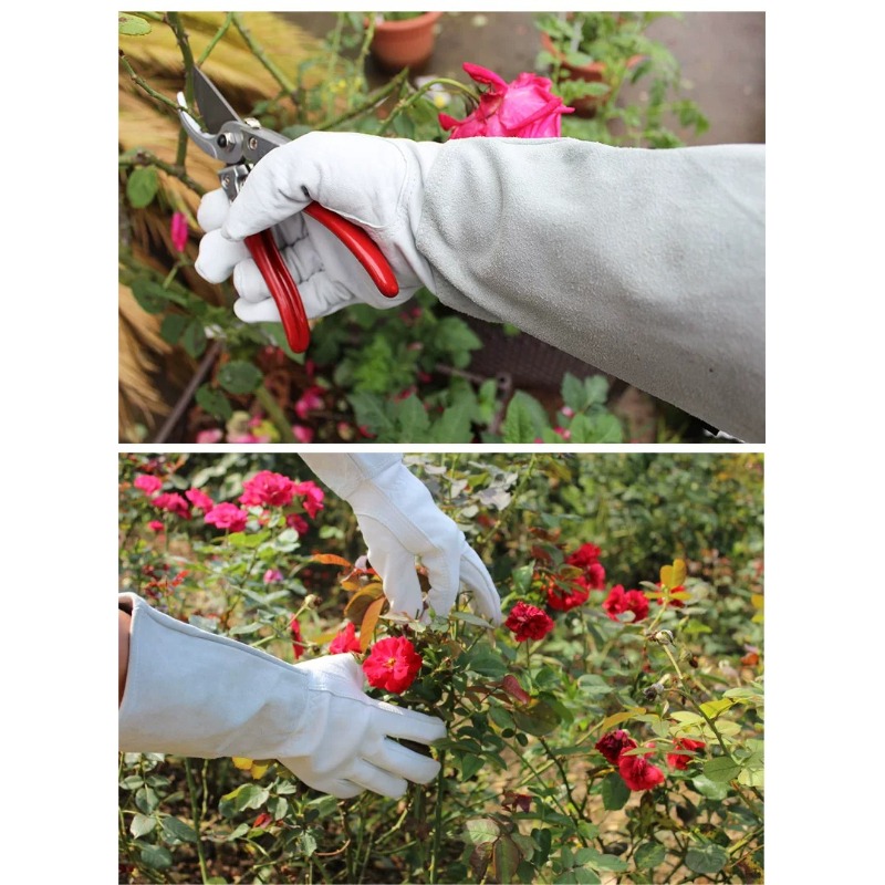 A Pair of Garden Gloves Thorn  - Gardening Glove Waterproof recension och pris
